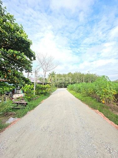Đất thổ cư gần KCN Hiệp Thạnh. 9m ngang. chỉ 240tr 