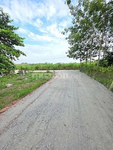 Đất thổ cư gần KCN Hiệp Thạnh. 9m ngang. chỉ 240tr 
