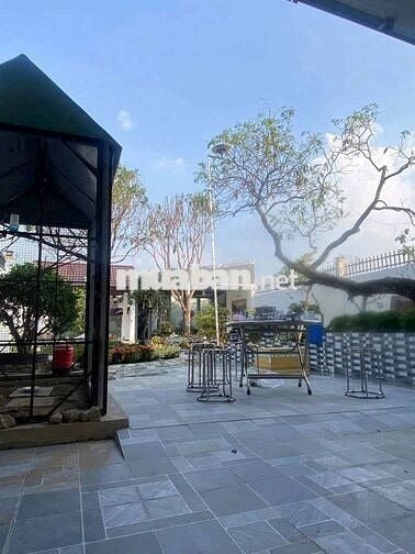 Nhà vườn 10 x 50m Mặt tiền nhựa Giồng Lớn, Mỹ Hạnh Nam