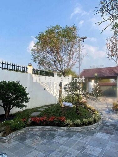 Nhà vườn 10 x 50m Mặt tiền nhựa Giồng Lớn, Mỹ Hạnh Nam