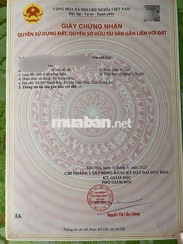 Đất 4 x 12m KDC Cát Tường Phú Sinh