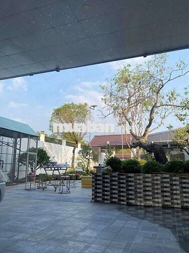 Nhà vườn 10 x 50m Mặt tiền nhựa Giồng Lớn, Mỹ Hạnh Nam