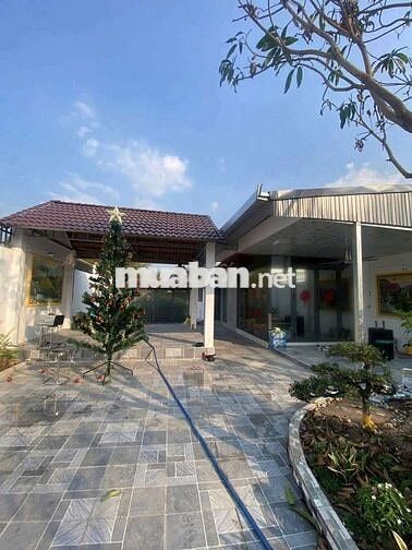 Nhà vườn 10 x 50m Mặt tiền nhựa Giồng Lớn, Mỹ Hạnh Nam