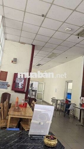 TUYỂN 3 THỜI VỤ PHỤ BÁN CƠM- BÚN LÀM TRONG CĂN TIN