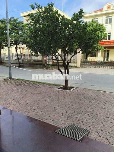 CHO THUÊ TẦNG 1 NHÀ MẶT ĐƯỜNG NGUYỄN TẤT TỐ – LÊ CHÂN, HẢI PHÒNG