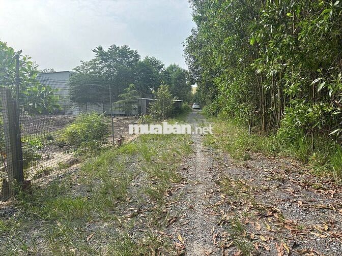 Cần bán 240m đất, có 150m TC, hai mặt tiền, 1/ Hùng Vương.