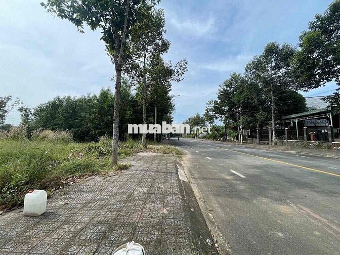 ĐẤT GIÁP SUỐI 619m2 ĐƯỜNG BỐ MUA, PHÚ GIÁO, BÌNH DƯƠNG
