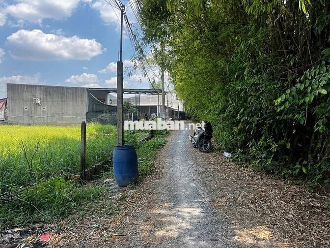 Bán đất tại Tràm Lạc, 1,285 tỷ, 142m2, lô đất đẹp, chính chủ, sổ riêng