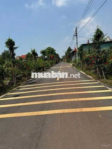 ĐẤT TẠI HCM 250m2 CÓ 100m2 THỔ CƯ NGAY SÁT CHỢ AN THÁI NGỘP 500 TR