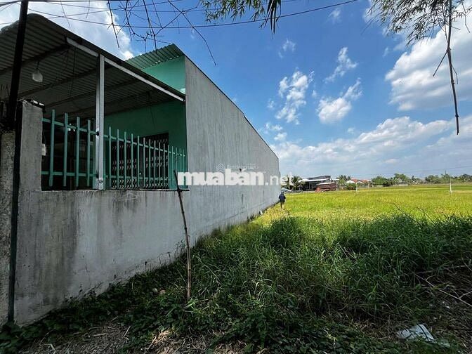 Bán đất tại Tràm Lạc, 1,285 tỷ, 142m2, lô đất đẹp, chính chủ, sổ riêng