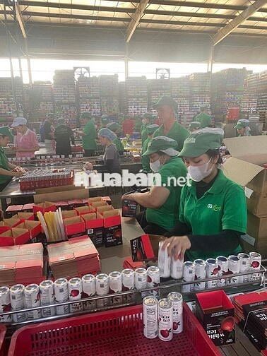Tuyển LĐPT Nhà Máy Thực Phẩm – Nhận Việc Ngay
