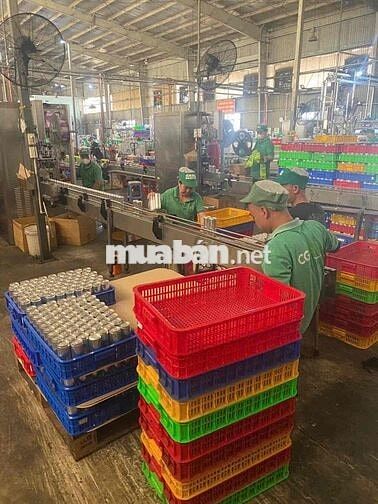 TUYỂN LĐPT SẢN XUẤT THỰC PHẨM TẠI CỦ CHI