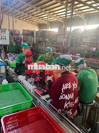 Tuyển LĐPT Nhà Máy Thực Phẩm – Nhận Việc Ngay