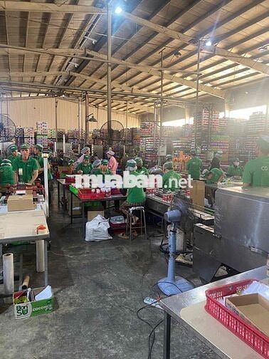 Tuyển LĐPT Nhà Máy Thực Phẩm – Nhận Việc Ngay