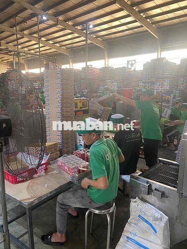 Tuyển LĐPT Nhà Máy Thực Phẩm – Nhận Việc Ngay
