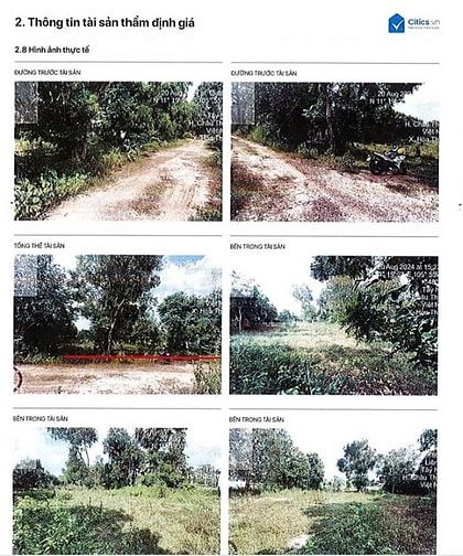 THÔNG BÁO ĐẤU GIÁ 02 TÀI SẢN VIB_XÃ HÒA HỌI & PHƯỚC VINH_TÂY NINH