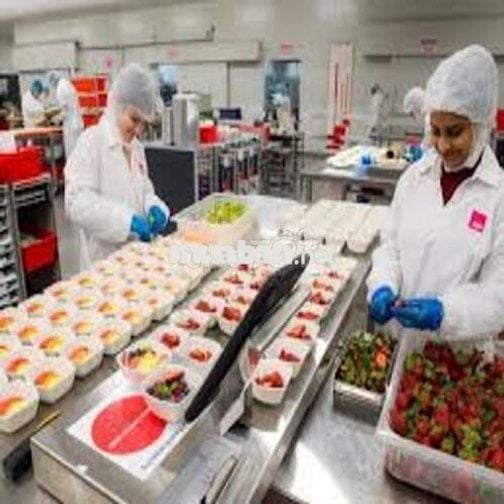 [SÂN BAY HCM] NV LẬP KẾ HOẠCH SUẤT ĂN TÂN SƠN NHẤT