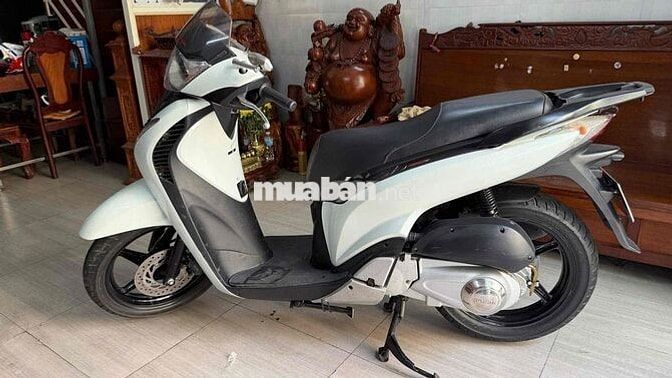 Sh nhập ý 104 Biển tp chính