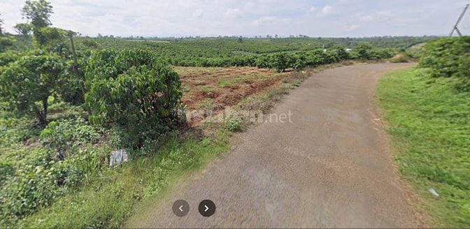 [MẶT TIỀN SIÊU KHỦNG 105M] 5.000m² Đất Lộc Nga - Gần QL20 - Vườn Cà Ph