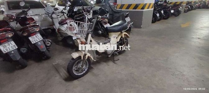 Honda Chaly 70cc Trắng