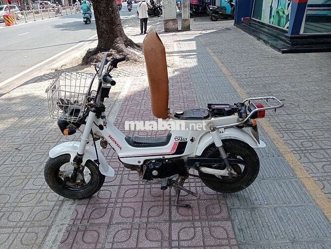 Honda Chaly 84 1992 Trắng