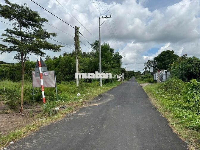 🔥 ĐẤT NỀN TRUNG TÂM PHƯỚC BỬU – 4.123m² THỔ CƯ 100% – GIÁ CHỈ 5.5TR/M²