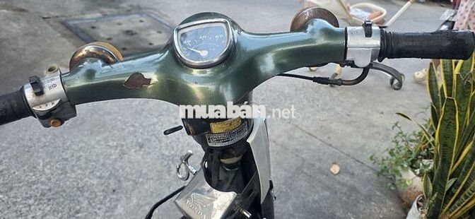 Honda Cub 81/50cc Xanh rêu
