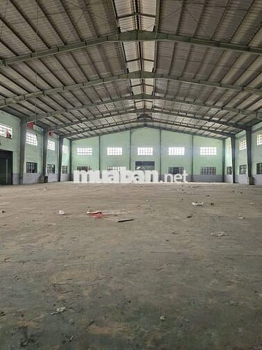 Cho thuê kho xưởng 1000m2 giá tốt mặt tiền Trần Đại Nghĩa cont 24/24