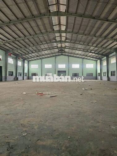 Cho thuê kho xưởng 1000m2 giá tốt mặt tiền Trần Đại Nghĩa cont 24/24