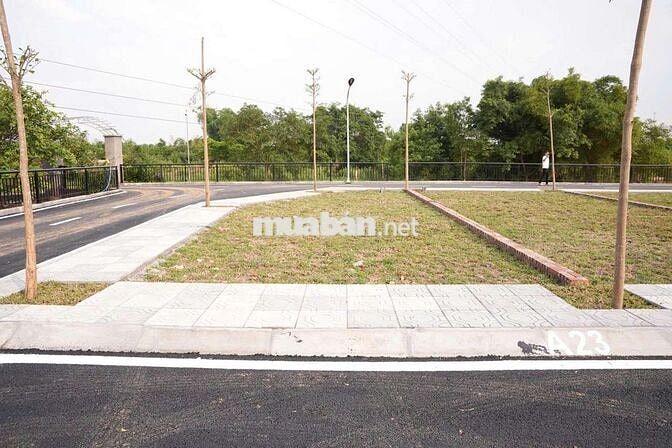 BÁN ĐẤT THẠCH HOÀ – PHÚ CÁT –100M, MT 6,2M, 2 Tỷ 579Tr,  HOÀ LẠC.