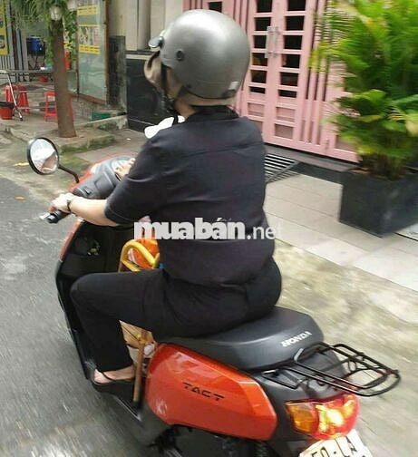 Honda Tact 50cc Fi nội địa Nhật,đời cao máy bền