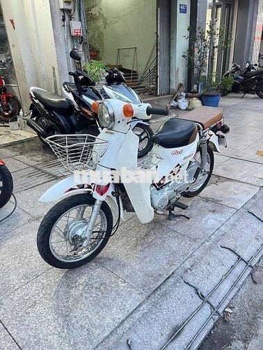 Honda Cub 50cc 2018 Trắng Đã sử dụng