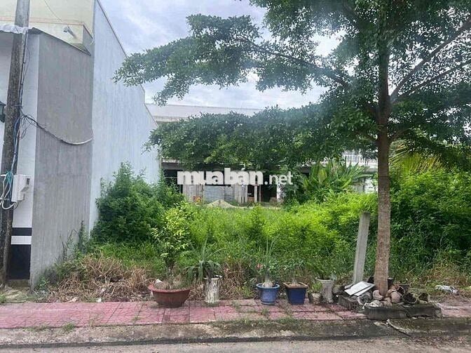 Nền Khu Dân Cư Phúc Lộc Thọ - Bạc Liêu