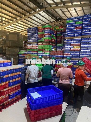 DĨ AN NHẬN LĐPT (THIẾU THÁNG) SẢN XUẤT NƯỚC NGỌT