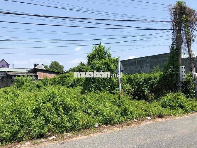 Do đang ở nước ngoài không người trông coi . nên cần bán đất