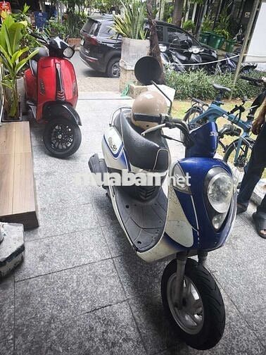 SYM Elite 50 Xanh trắng