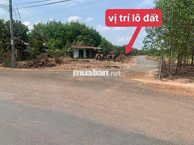 đất sào 30 x 33 chỉ 270 triệu, lên được thổ cư