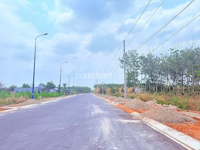  Đất nền đường Phạm Hồng Thái, Thành phố Đồng Nai thổ cư, sổ sẵn công 