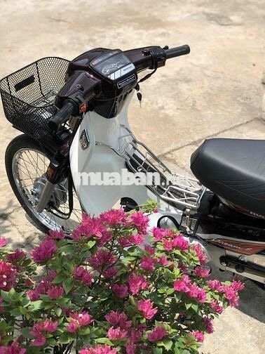 Honda Dream Thái 7số ( tem lửa ) bs66 4 con