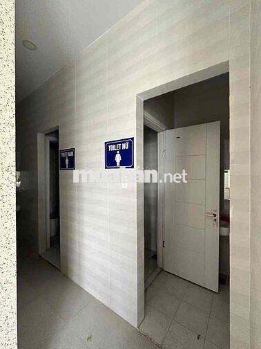 Cho thuê tầng riêng + sân thượng tại Cà Mau