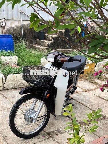 Honda Dream Thái 7số ( tem lửa ) bs66 4 con