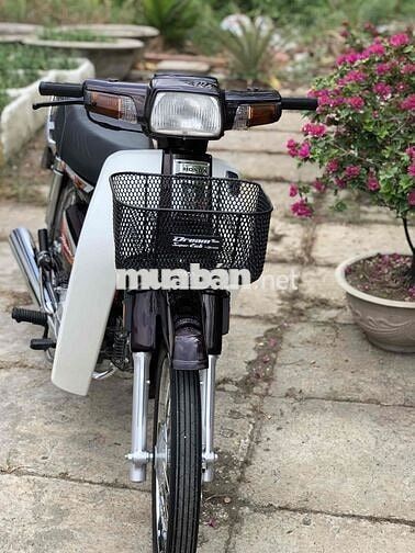 Honda Dream Thái 7số ( tem lửa ) bs66 4 con