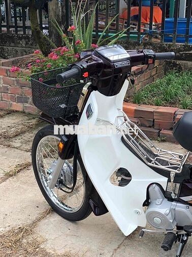 Honda Dream Thái 7số ( tem lửa ) bs66 4 con