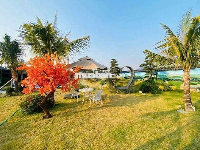 Bán gấp Homestay Sóc Sơn 1700m2, đang kinh doanh, thu 60tr/tháng