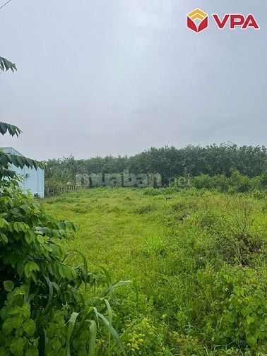 Thông báo đấu giá tài sản của bà Trần Thị Kiều My (Tây Ninh)