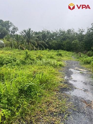 Thông báo đấu giá tài sản của bà Trần Thị Kiều My (Tây Ninh)