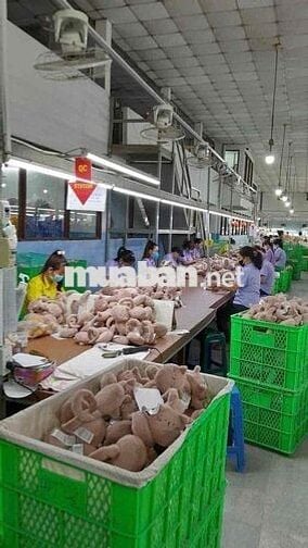 CTY May Tuyển Dụng, Lương Ổn Định, Việc Ngồi Làm