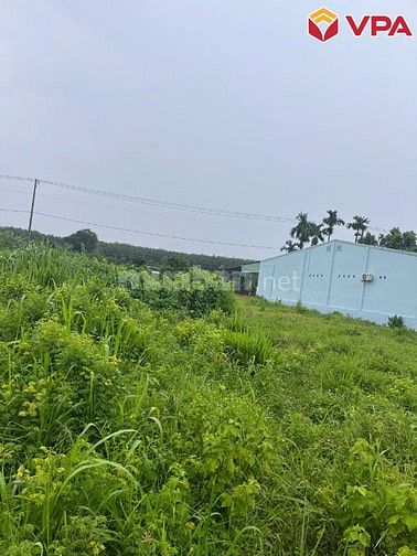 Thông báo đấu giá tài sản của bà Trần Thị Kiều My (Tây Ninh)