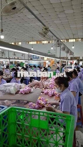 CTY May Tuyển Dụng, Lương Ổn Định, Việc Ngồi Làm