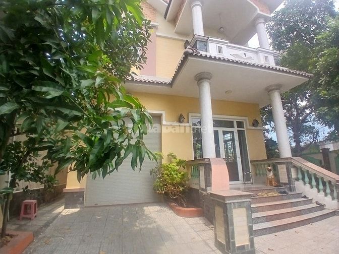 BIỆT THỰ GÓC 2 MẶT TIỀN 500M² – PHÚ LỢI – SIÊU PHẨM ĐẦU TƯ